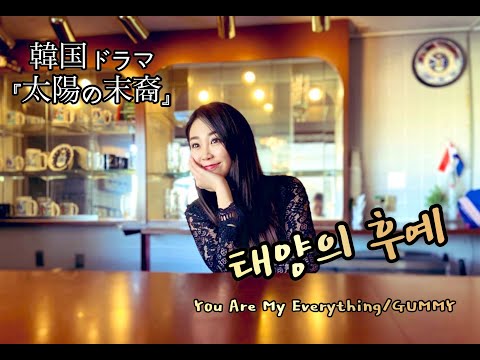 日本人が歌う韓国ドラマ曲】太陽の末裔(태양의 후예)- You Are