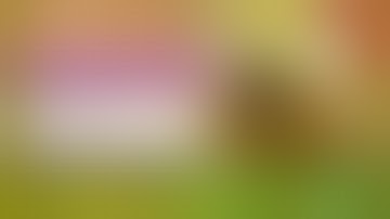 NEW ROBLOX EXPLOIT: VALID V0.1 (SORRY PATCHED ALREADY!) UNRESTRICTED [LUA-C] SCRIPT EXECUTOR!