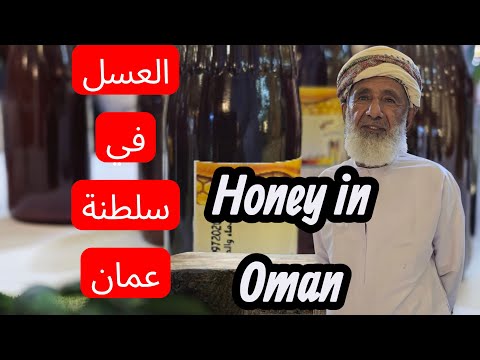 من أفضل تجار العسل العماني لتجارة العسل الأصلي في سلطنة عمان محمد الحسني عسل عماني اصلي