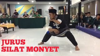 Ikspi Tdanilkan Jurus Kera Kombinasi Jurus Tunggal  Hut Jamiyatul Kiflaini Malaysia
