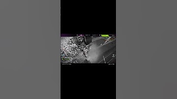 行動と発言が合いすぎているマッドマギー#short #apex #fps #シーズン15