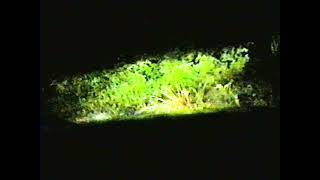 Escape.avi (VHS)