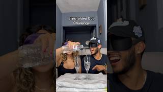 Blindfolded Cup Challenge!
