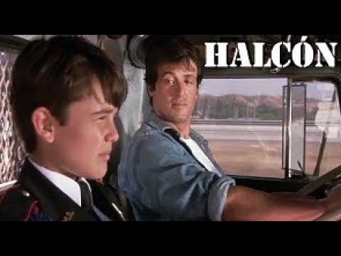 El Halc N Sylvester Stallone Spanish