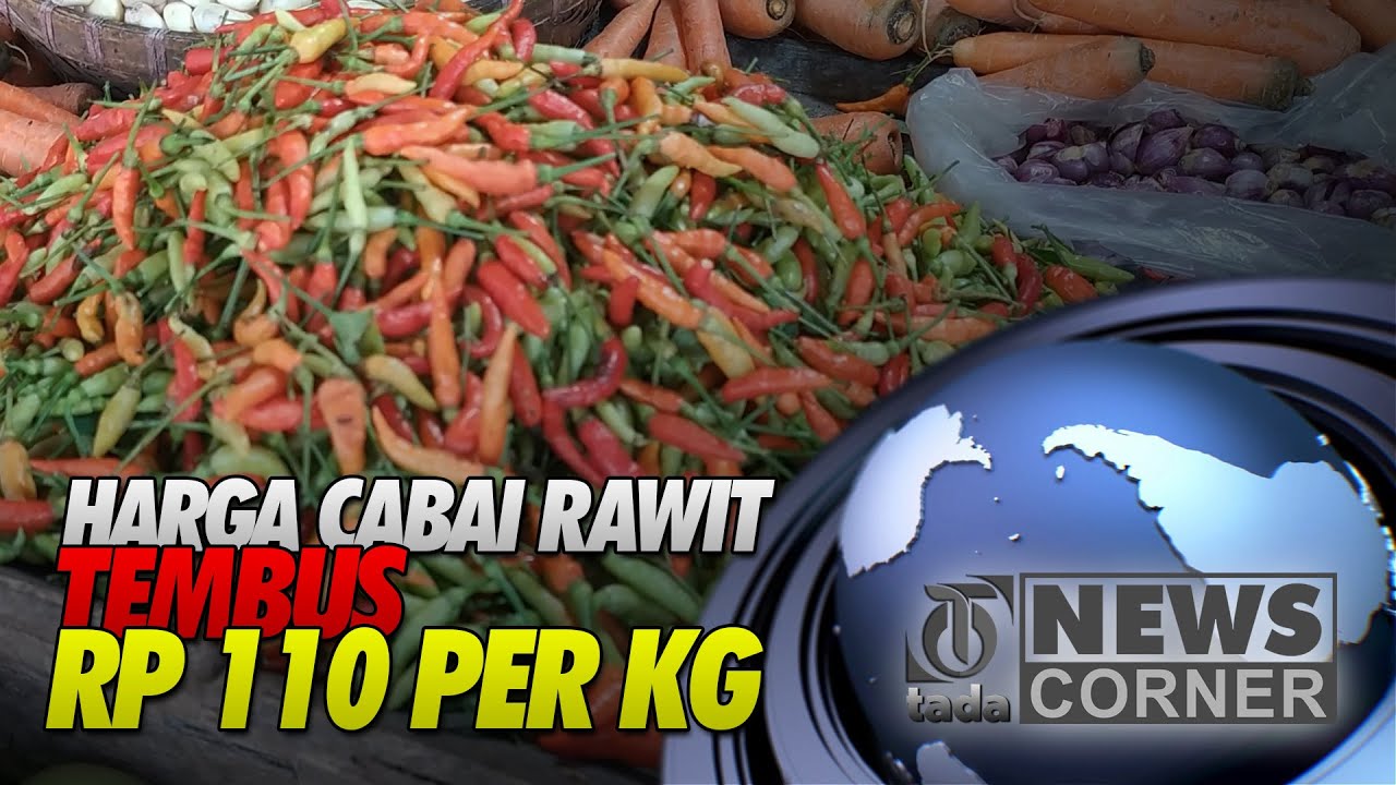 HARGA CABAI RAWIT TEMBUS RP 110 PER KG