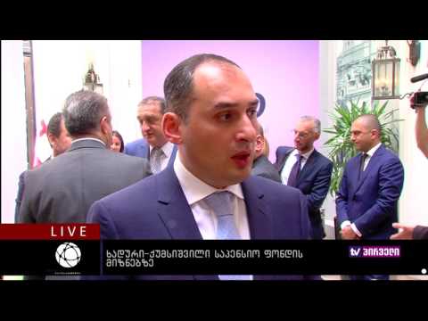 ბიზნესკონტრაქტი 20.07.2016 ხადური ქუმსიშვილი საპენსიო ფონდის მიზნებზე