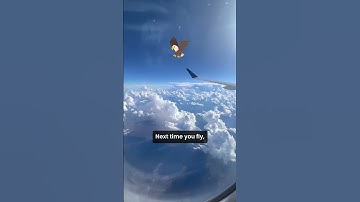 Why Airplane Windows Are Round (Not Square) ✈️