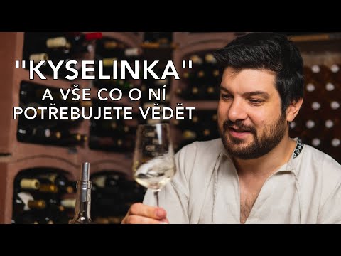 Video: Co Potřebujete Vědět O Srbském Víně