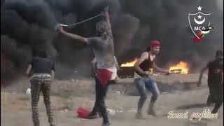 palestine dance native american