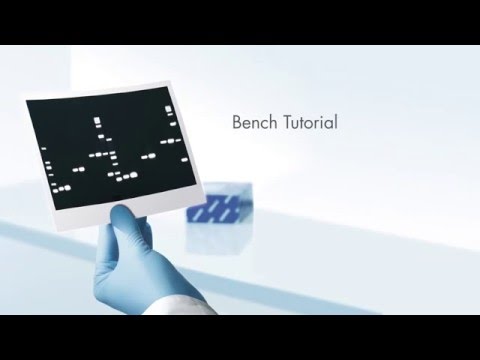 Bench tutorial –