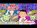 日本からアワビやサザエが消えた！？現在の海で何が起きているのかその理由とは？【ずんだもん＆ゆっくり解説】