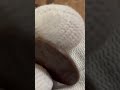 1 копейка 1705 год. Пётр I