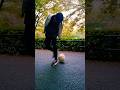 Part29-Football Juggling Skill Tutorial #football #soccer #footballskills #soccerskills