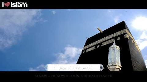 سورة الفيل   محمد المقيط   السلام من الأسلام