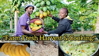 'Evening on the Farm: Pawpaw Harvest & Yummy Veggie Rice Dinner' by Joyce Hellenah 3,055 views 2 days ago 32 minutes