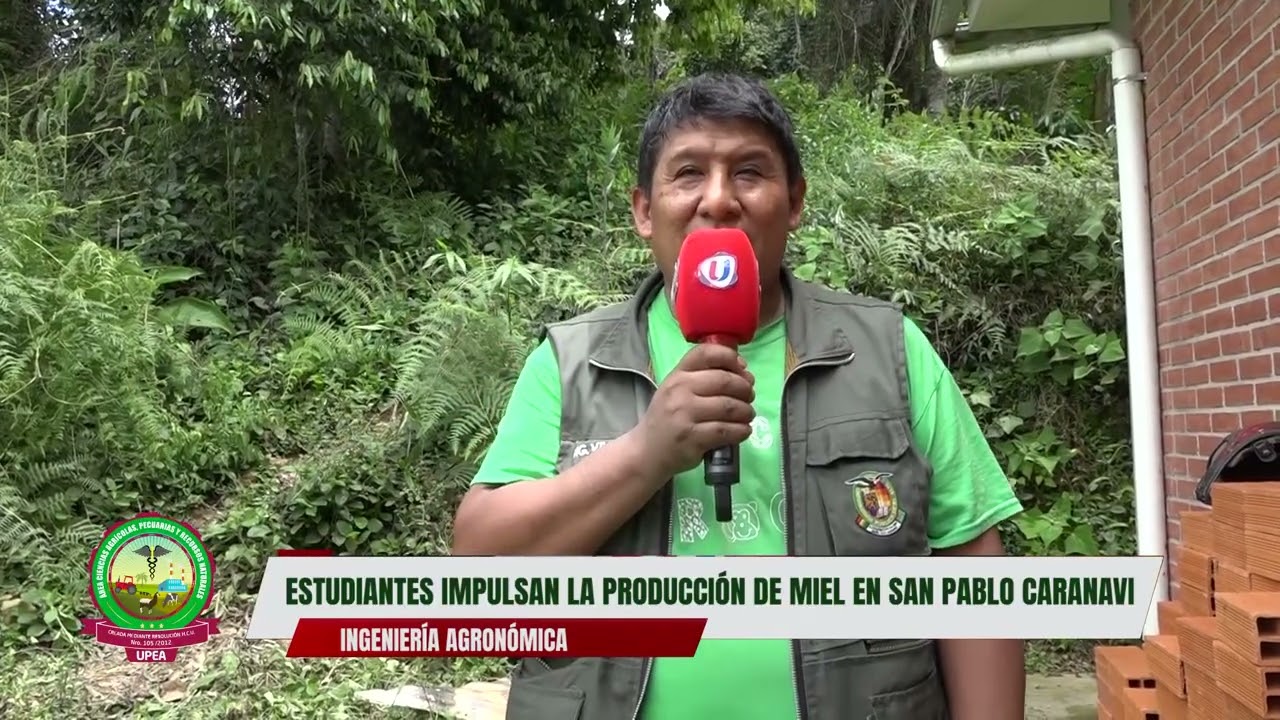 ESTUDIANTES DE AGRONOMIA IMPULSAN LA PRODUCCIÓN DE MIEL SAN PABLO CARANAVI