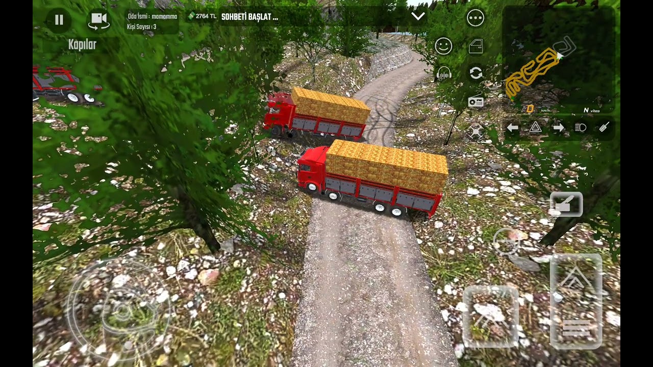 YANIMDA APO VE FETO VAR