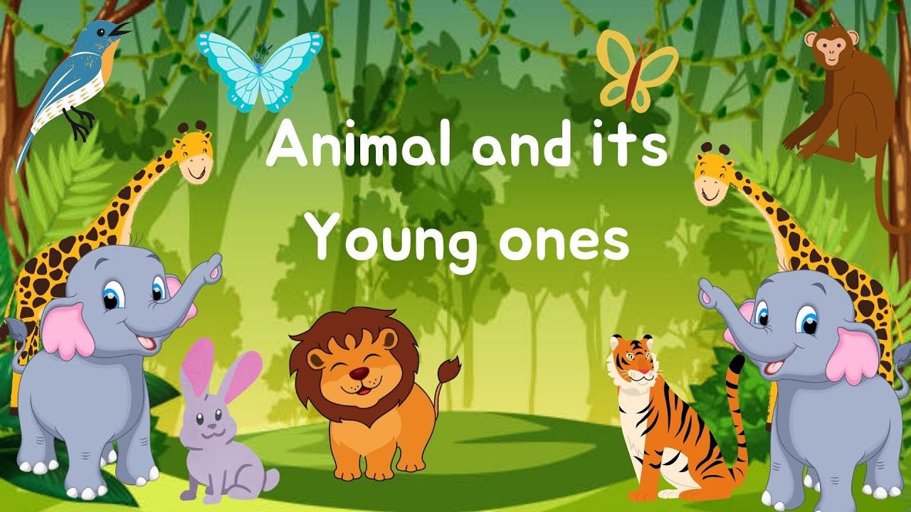 Animals And Their Young Ones Baby Animal Names For Kids Learn 20 animals-and-their-young-ones-baby-animal-names-for-kids-learn-20