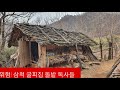 위험 삼척 굴피집 어르신 집근처 뱀 득시글 독사때 돌밭 주변에 우글대! 화전민# 오지# 산골#