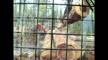 Westwood 410 Prentice.MPG