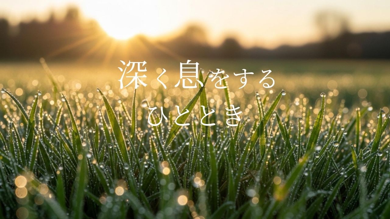 深く息をするひととき｜やさしい光に包まれるヒーリング音楽（528Hz・1時間）※途中広告なし