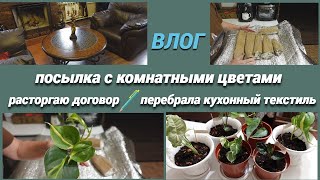 Влог/Получила посылку с комнатными цветами/Как я договор расторгала/Перебираю кухонный текстиль.