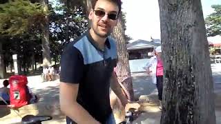 L’échappé du tour