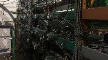 Crypto Shepard: Setting up A4+ LTC Master