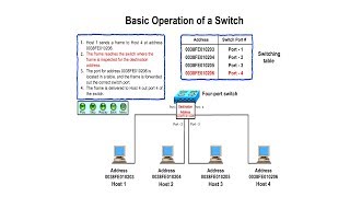 Basic Operation of a Switch