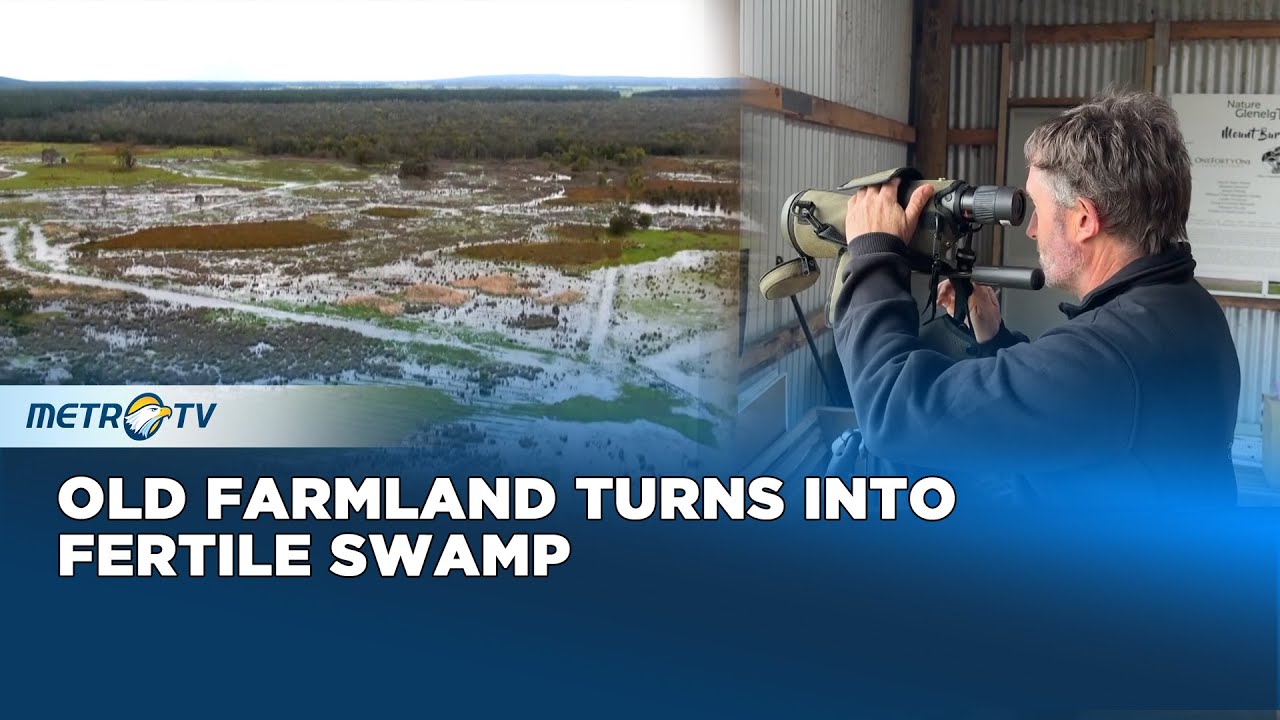 Former Farmland in South Australia Is Now Fertile Swamp