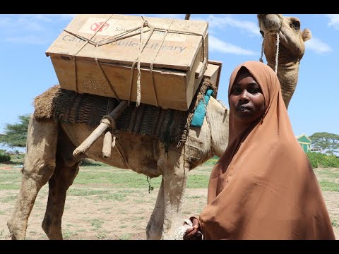 Camel library in