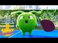 Bat and Ball | Sunny Bunnies | Cartoons for Kids | WildBrain Blast