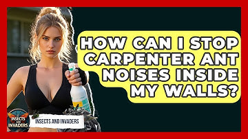 How Can I Stop Carpenter Ant Noises Inside My Walls? - Insects and Invaders