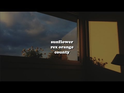sunflower ･:*:･ﾟrex orange