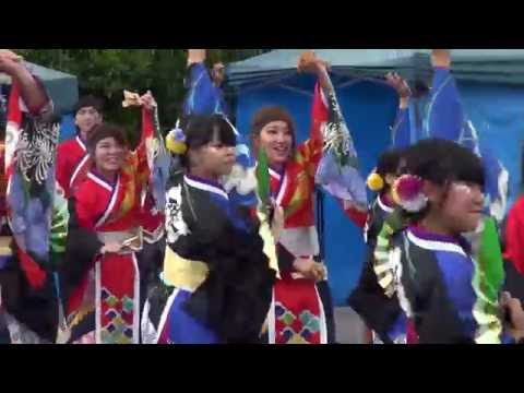 皇學館大学よさこい部”雅”（一身田七夕祭り2016）②