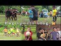 Dog sports vlog