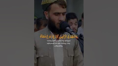 تلاوة عطرة لقارئ الشيخ محمد رزكار الكردي"محمد رسول الله والذين معه أشداء على الكفار.."
