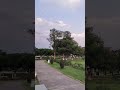 #park #rose#garden #sunset #sun#chandigarh #rosegarden #views #viral