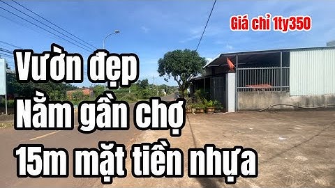 A quý lo cho con ăn học không xoay được tiền nên bán bớt đi mảnh vườn để lo cho con