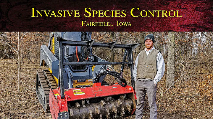 Invasive Species Control in Fairfield, Iowa