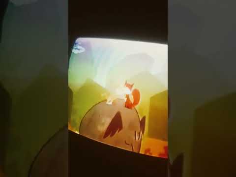 Pix And Leo Final 2016