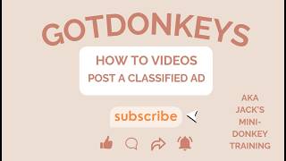 post a classified ad on gotdonkeys website for free