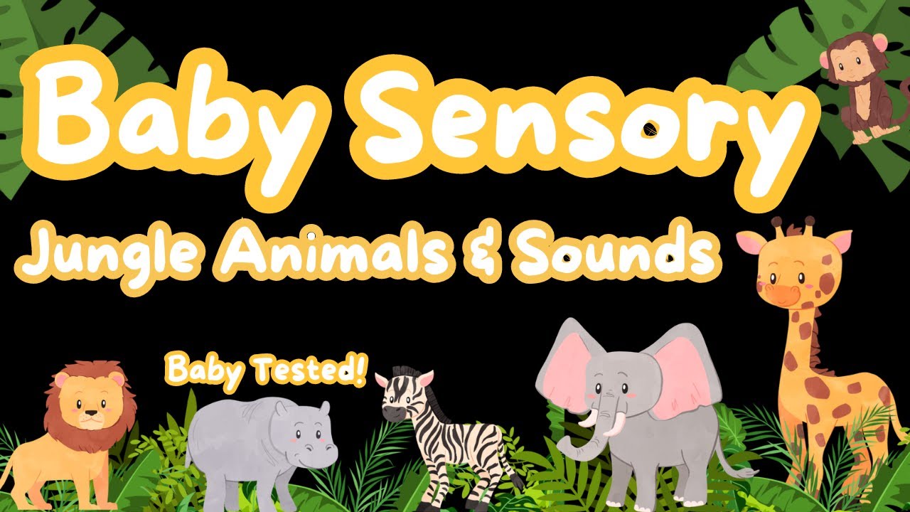 Sensory Adventure: Explore The Jungle Animals With Your Baby