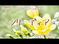 【フリーディア】cover【弾き語り】
