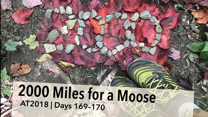 Appalachian Trail 2018 | Days 169-170: 2000 Miles for a Moose