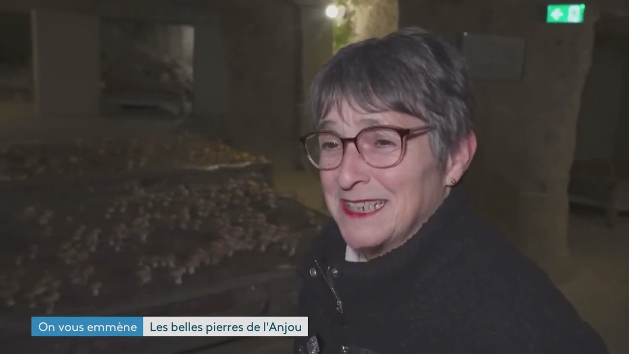 Une reine, des champignons géants et des tapisseries : l’Anjou se raconte en saveurs et en pierres