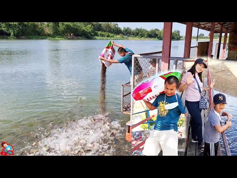 น้องบีม | เที่ยวราชบุรี ให้อาหารปลา 1 กระสอบ วัดใหญ่นครชุมน์