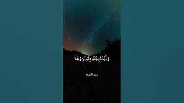 لَا تَحْزَنْ إِنَّ اللَّهَ مَعَنَا ۖ|| سورة التوبة || علي جابر