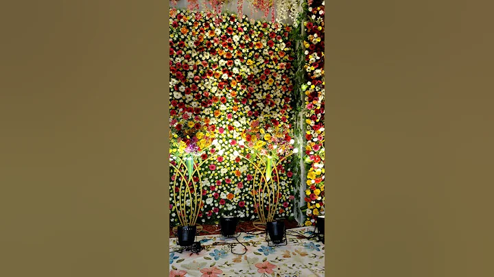 Wedding decoration #wedding #shortvideo #views #reels #reception #shorts #decoration #stage #yt