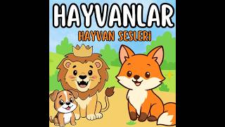 Hayvanları Tanıyoruz 🐶 | Hayvan Sesleri | Çocuklar İçin Eğitici Video